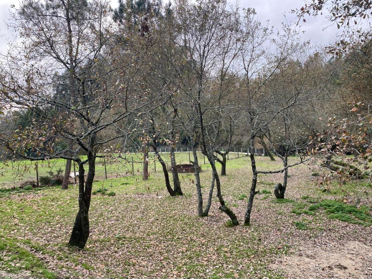 Quinas Playground Villa Souto da Carpalhosa Exterior photo